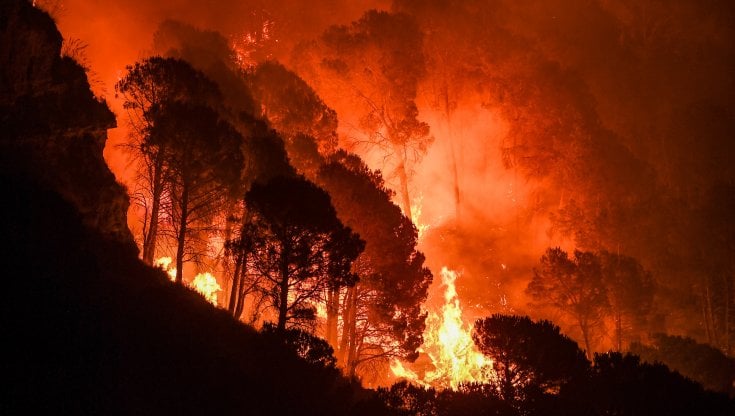 Stilo (RC) | Sorpresi ad appiccare incendi boschivi, tre denunciati.