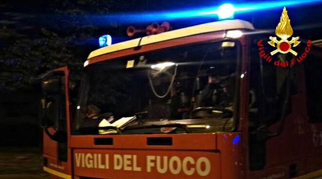 Genova | Cane cade in acqua salvato dai sommozzatori dei vigili del fuoco