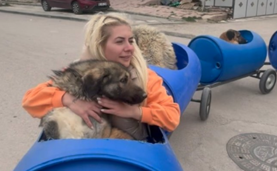 Animali| La storia di Buket Özgünlü, l’angelo dei cani randagi con disabilità