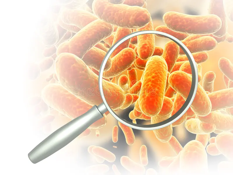 SAI CHE…nel nostro ombelico vivono oltre 1000 specie di batteri?